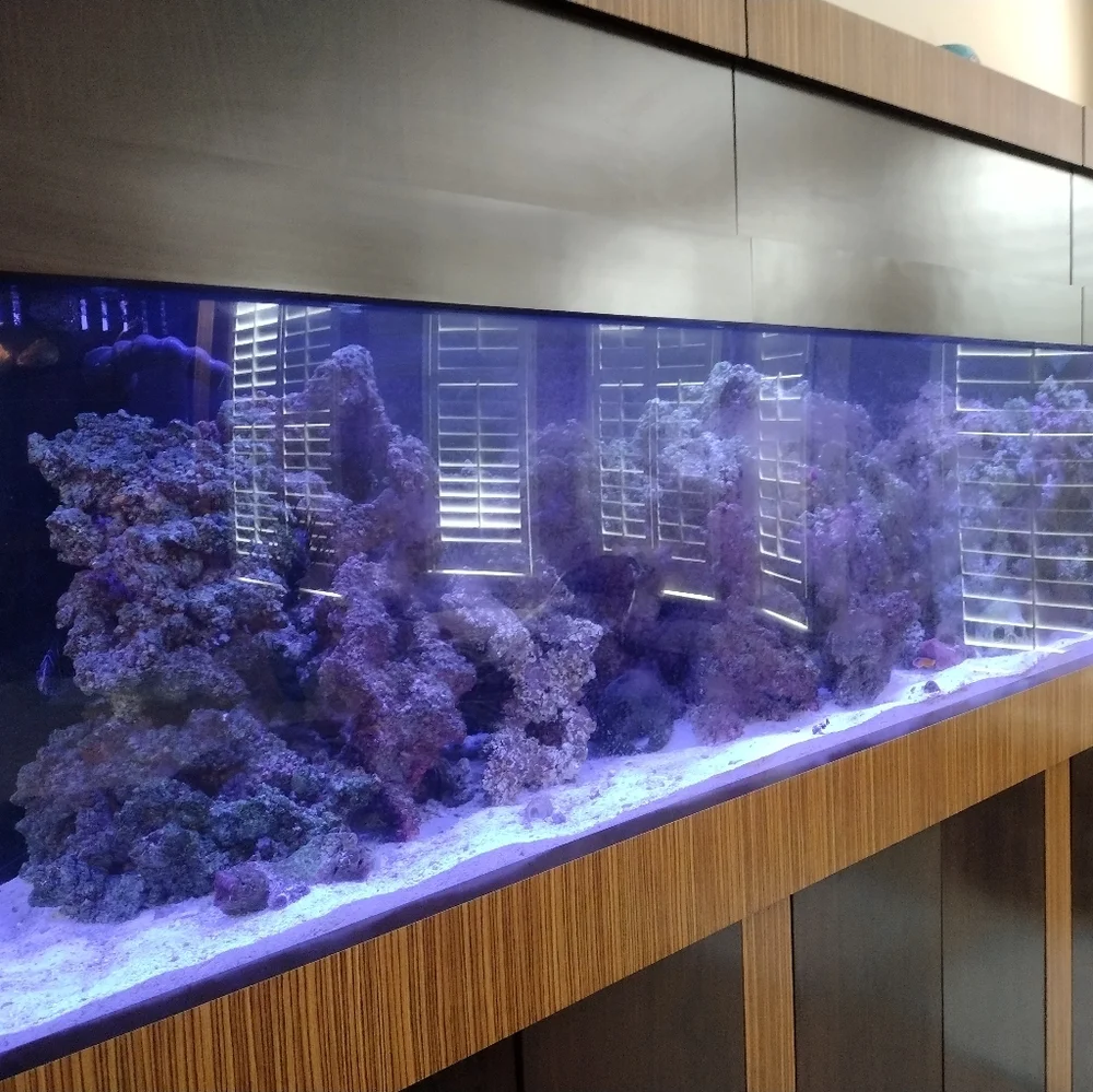 Fishtank/Aquarium